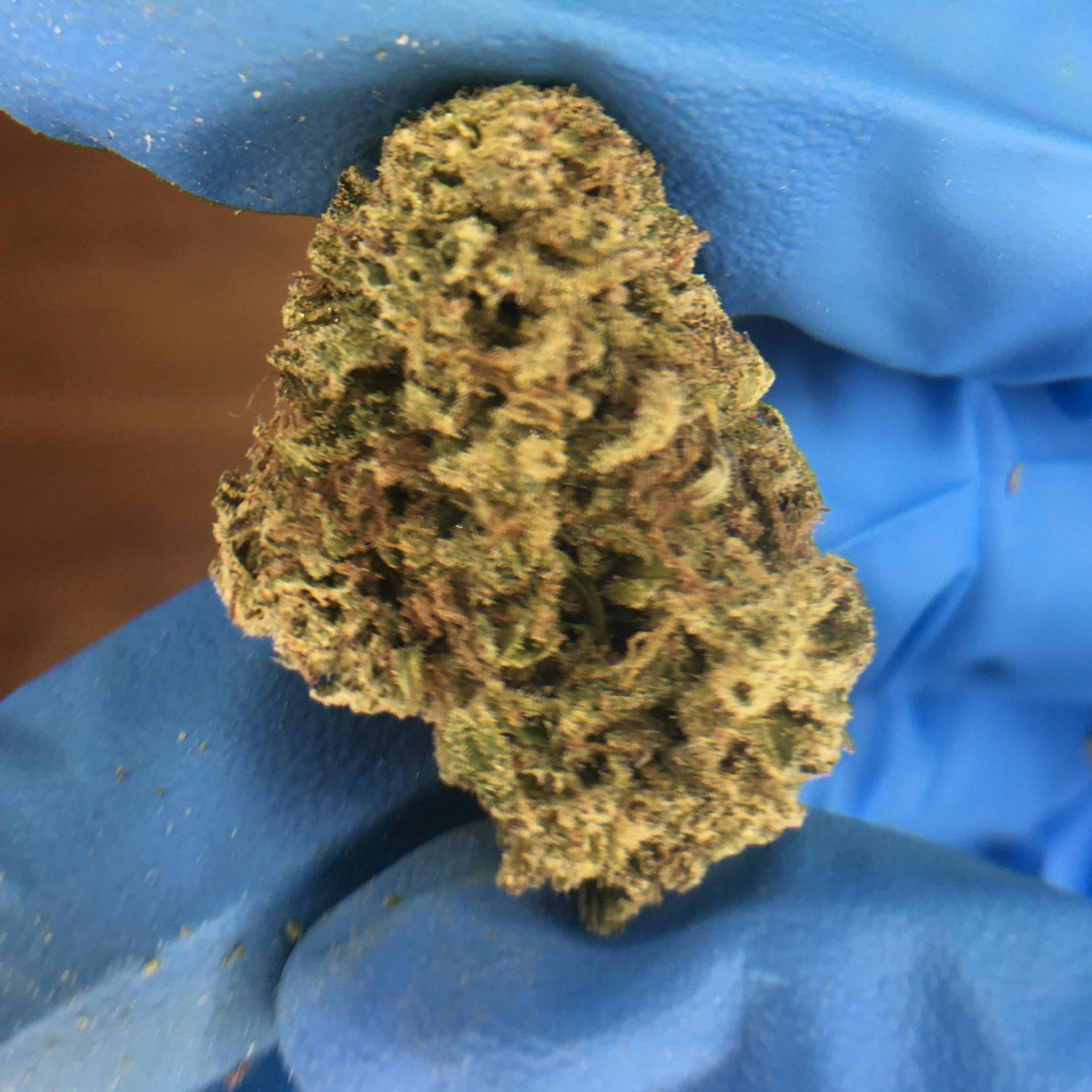 Cherry Garcia